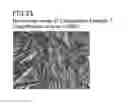 Fig. 11 - Film-form preparation and method for producing the same