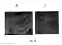 Fig. 13 - Mesoporous material excipients for poorly aqueous soluble ingredients