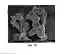 Fig. 18 - Mesoporous material excipients for poorly aqueous soluble ingredients