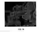 Fig. 19 - Mesoporous material excipients for poorly aqueous soluble ingredients
