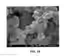 Fig. 20 - Mesoporous material excipients for poorly aqueous soluble ingredients