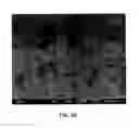 Fig. 21 - Mesoporous material excipients for poorly aqueous soluble ingredients