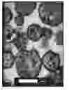 Fig. 01 - SPHERICAL COMPOSITE PARTICLES AND METHOD FOR MANUFACTURING THE SAME