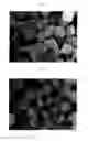 Fig. 02 - COSMETIC COMPOSITION