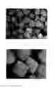 Fig. 03 - COSMETIC COMPOSITION