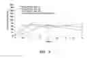 Fig. 06 - TRANSDERMAL DELIVERY PATCH
