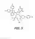 Fig. 06 - MODIFIED OLIGORIBONUCLEOTIDE ANALOGS WITH ENHANCED IMMUNOSTIMULATORY ACTIVITY