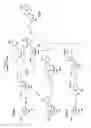 Fig. 06 - 2′-fluoro-6′-methylene carbocyclic nucleosides and methods of treating viral infections