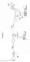 Fig. 09 - 2′-fluoro-6′-methylene carbocyclic nucleosides and methods of treating viral infections