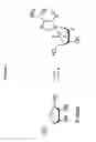 Fig. 10 - 2′-fluoro-6′-methylene carbocyclic nucleosides and methods of treating viral infections