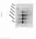 Fig. 13 - 2′-fluoro-6′-methylene carbocyclic nucleosides and methods of treating viral infections