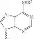 Fig. 45 - 2′-fluoro-6′-methylene carbocyclic nucleosides and methods of treating viral infections