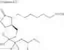 Fig. 08 - PHARMACEUTICAL COMPOSITION COMPRISING A BI-CYCLIC COMPOUND AND METHOD FOR STABILIZING THE BI-CYCLIC COMPOUND