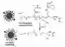 Fig. 01 - Charge reversible polymers