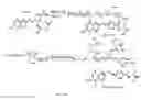Fig. 05 - Charge reversible polymers