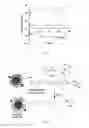 Fig. 07 - Charge reversible polymers