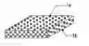 Fig. 01 - FILM-FORM PREPARATION AND METHOD FOR PRODUCING THE SAME