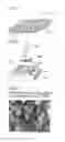 Fig. 02 - FILM-FORM PREPARATION AND METHOD FOR PRODUCING THE SAME
