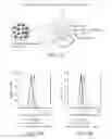 Fig. 12 - Multifunctional self-assembling polymeric nanosystems