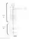 Fig. 02 - Method for preparing a dairy product