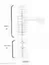 Fig. 03 - Method for preparing a dairy product