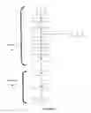 Fig. 04 - Method for preparing a dairy product
