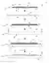 Fig. 01 - Edible Food Transport Base System and Method of Use Thereof
