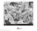 Fig. 02 - Liquid toner digitally printable media