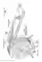 Fig. 17 - Unitized engine nacelle structure