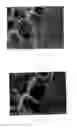Fig. 04 - Material for adhesive-free clinging to smooth surfaces
