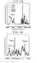Fig. 08 - Method of modifying chemically amplified resist pattern, modifier for chemically amplified resist pattern, and resist pattern structure