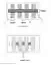 Fig. 01 - DOUBLE-SIDED PRESSURE-SENSITIVE ADHESIVE TAPE FOR FIXING DECORATIVE PANEL