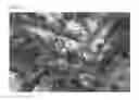 Fig. 09 - Ceramic beads with smooth surfaces and process for producing the same