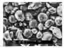 Fig. 01 - Core-shell type anode active material for lithium secondary batteries, method for preparing the same and lithium secondary batteries comprising the same