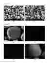 Fig. 05 - Core-shell type anode active material for lithium secondary batteries, method for preparing the same and lithium secondary batteries comprising the same