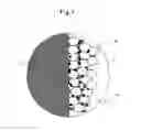 Fig. 02 - ELECTRODE FOR SECONDARY BATTERY AND MANUFACTURING PROCESS FOR THE SAME