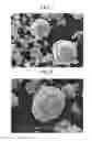 Fig. 06 - CATHODE ACTIVE MATERIAL FOR LITHIUM SECONDARY BATTERY AND LITHIUM SECONDARY BATTERY HAVING THE SAME