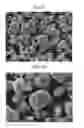 Fig. 07 - CATHODE ACTIVE MATERIAL FOR LITHIUM SECONDARY BATTERY AND LITHIUM SECONDARY BATTERY HAVING THE SAME