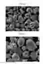 Fig. 09 - CATHODE ACTIVE MATERIAL FOR LITHIUM SECONDARY BATTERY AND LITHIUM SECONDARY BATTERY HAVING THE SAME