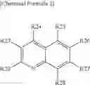 Fig. 17 - ION CONDUCTOR AND FUEL CELL