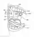 Fig. 01 - DEVICE FOR SELECTIVE TARGETING OF A SUBSTANCE TO A BODY PART