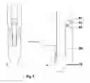 Fig. 09 - Tooth implant