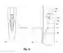 Fig. 11 - Tooth implant