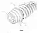Fig. 07 - Dental implant