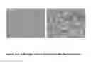 Fig. 06 - TOOTH REMINERALISATION