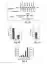 Fig. 03 - RNA sequence-specific mediators of RNA interference