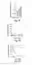 Fig. 05 - RNA sequence-specific mediators of RNA interference