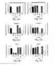 Fig. 12 - RNA sequence-specific mediators of RNA interference