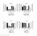 Fig. 13 - RNA sequence-specific mediators of RNA interference