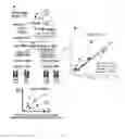 Fig. 02 - Methods of determining copy number of a genetic locus